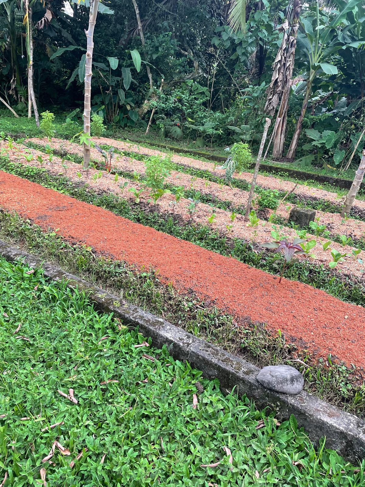 Mamey Latin Soul Food Gericht und Momente in Winterthur