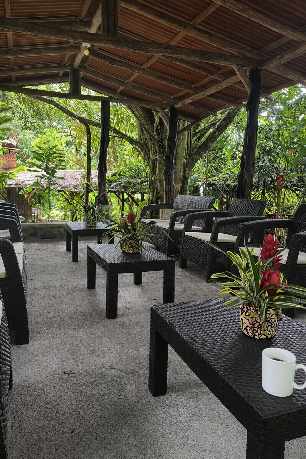 Mamey Latin Soul Food Gericht und Momente in Winterthur