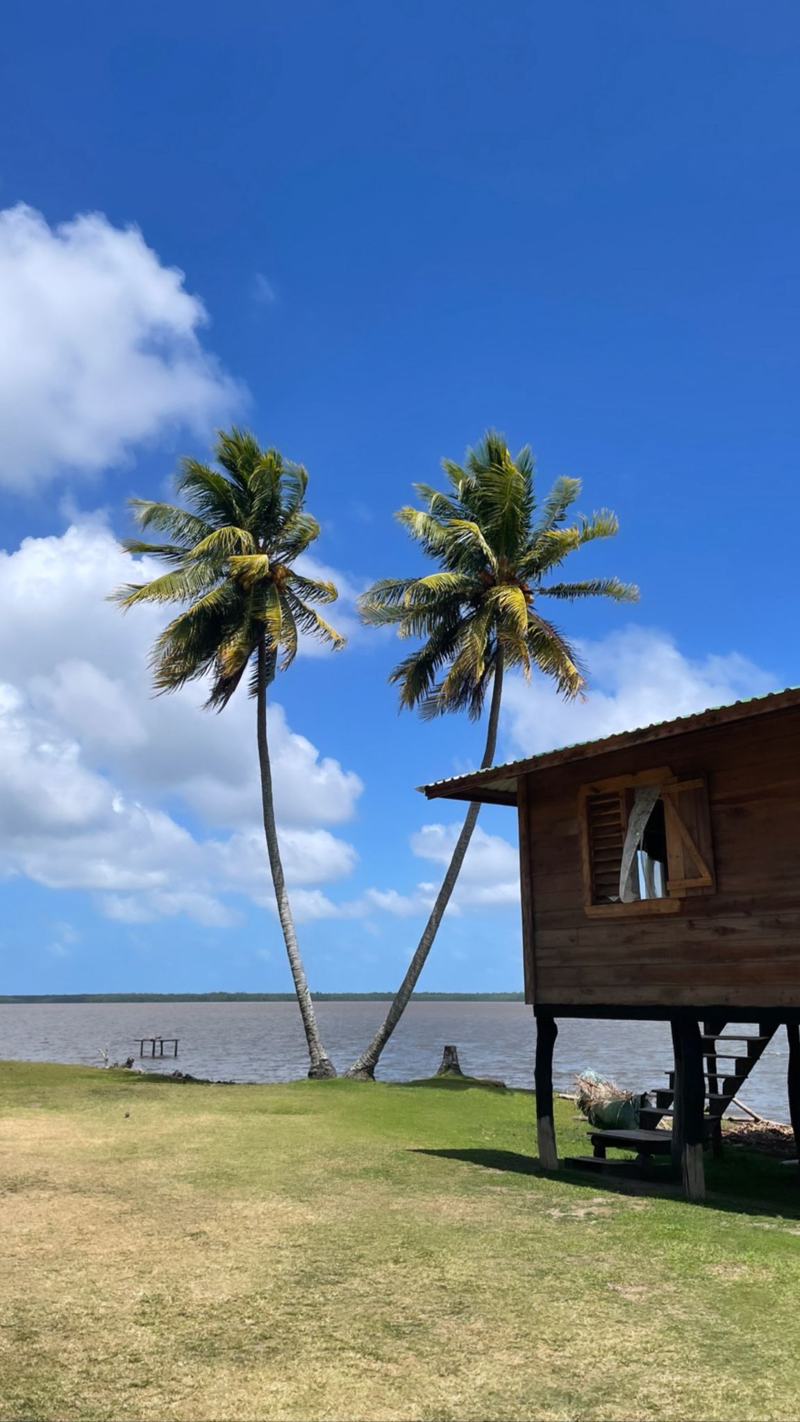 Mamey Latin Soul Food Gericht und Momente in Winterthur