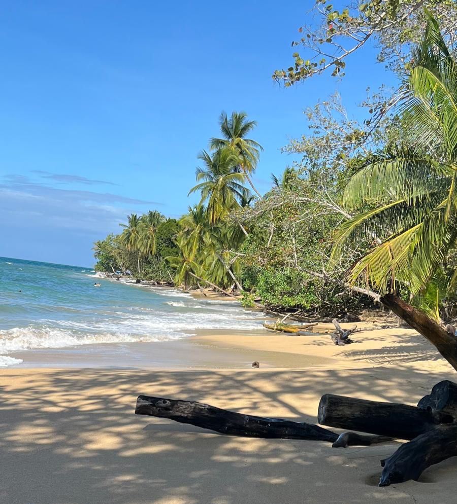 Mamey Latin Soul Food Gericht und Momente in Winterthur