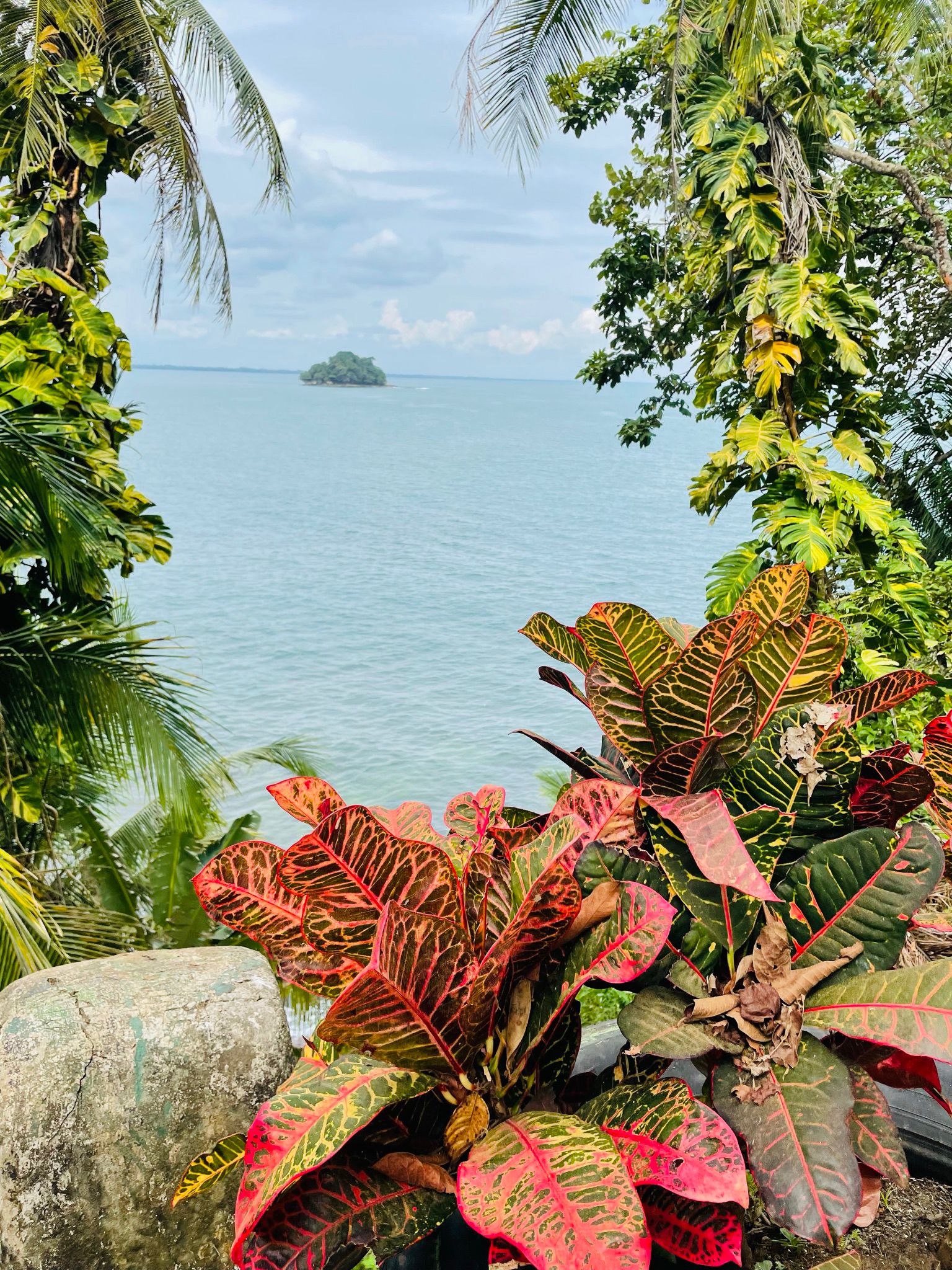 Mamey Latin Soul Food Gericht und Momente in Winterthur