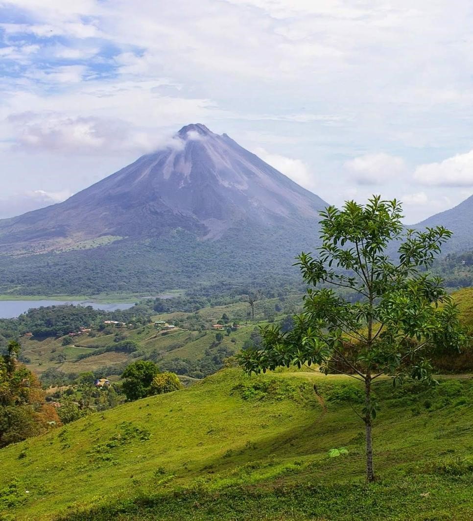 Mamey Latin Soul Food Gericht und Momente in Winterthur