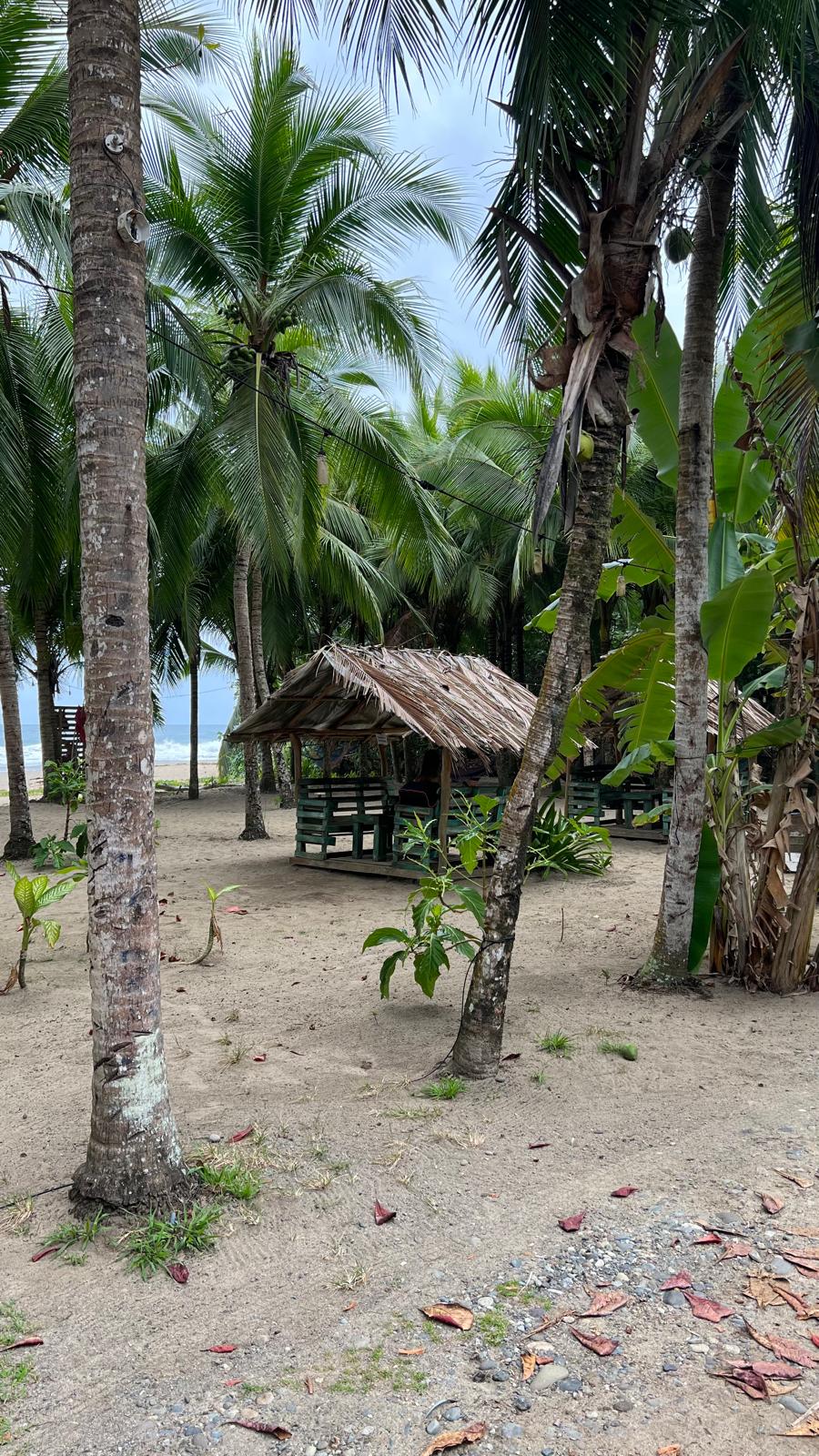 Mamey Latin Soul Food Gericht und Momente in Winterthur