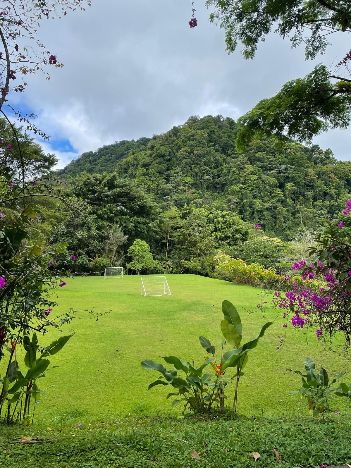 Mamey Latin Soul Food Gericht und Momente in Winterthur